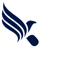 Fast Shipping Sticker