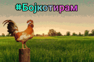Bojkotiram GIF
