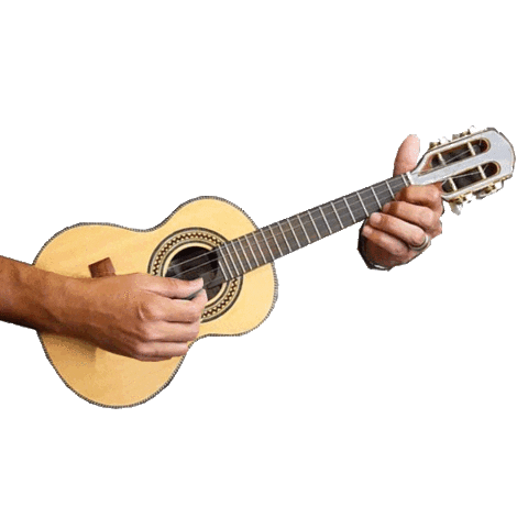 Samba Cavaquinho Sticker by Design4 web solutions