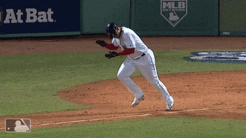 World Series Sport GIF by MLB
