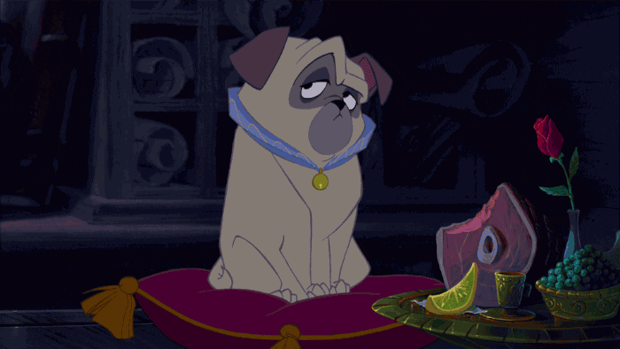 disney pug