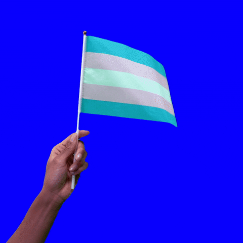 Trans Day Of Visibility Pride GIF by Hello All