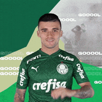 Victor Luis Puma GIF by SE Palmeiras