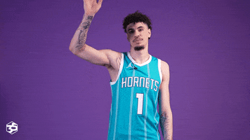 Basketball Nba GIF by Charlotte Hornets