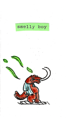 Summer You Stink GIF by Jimmy Arca