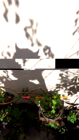 Glitch GIF