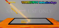 Reflection Rays GIF