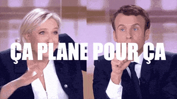 Le Pen Election GIF by THEOTHERCOLORS