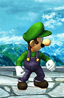 Video Games Luigi GIF