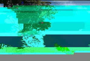 DATALUMI GIF