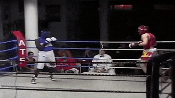 Martial Arts Fighting GIF by Casol
