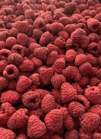 EqualFood raspberries equalfood makeallfoodcount GIF