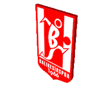 Balikesir Spor Sticker by balıkesir beton