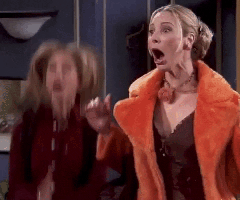 Giphy - Happy Season 5 GIF by Friends