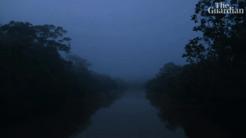 river at night gif