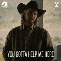 Assist Paramount Network GIF by Yellowstone