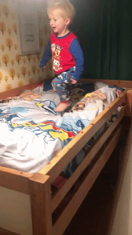Bed GIF