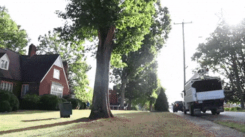 Oak Trees Neighborhood GIF by JC Property Professionals