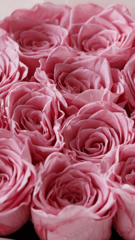 charmflowerbox GIF