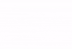 Bellacuttery GIF