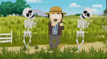South Park Dancing GIF by Much