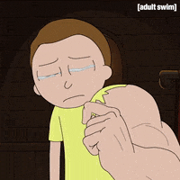 Season 3 Episode 302 GIF by Rick and Morty