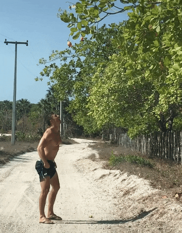 Kite Academy GIF