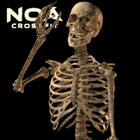 Morri Noacf GIF by Noá CrossFit