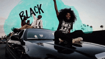 Black Lives Matter Fight GIF by TV One