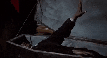 Bamped GIF by Mutha Puaka