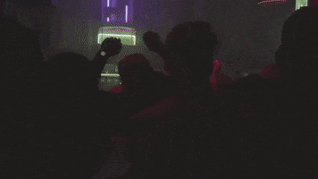 Concert Venue GIF by Meow Wolf