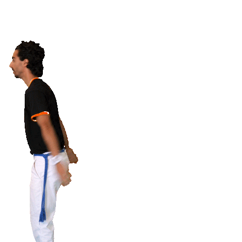 Capoeira Sticker by infinityweddingsss