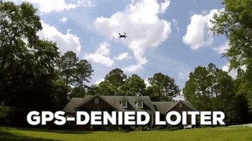 thomassfl  GIF