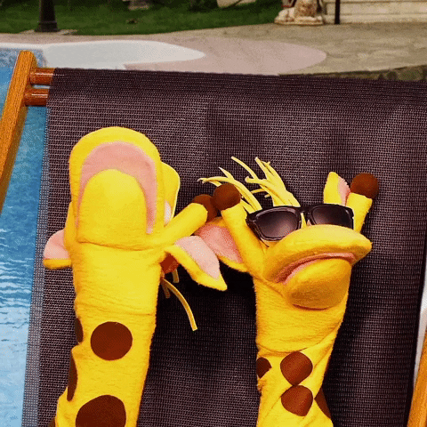 Giraffas relax sol alegria praia GIF