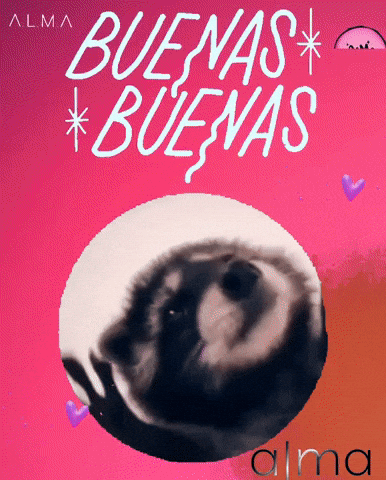 Buenas GIF