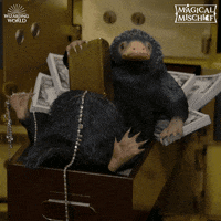 Fantastic Beasts Magicalmischief GIF by Fantastic Beasts: The Crimes of Grindelwald