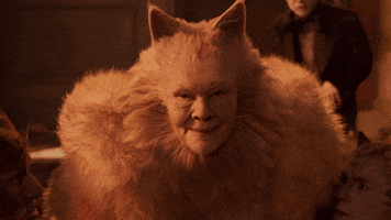 Judi Dench Whatever GIF by Cats Movie