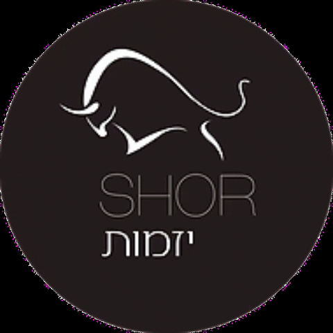 shorinvest GIF