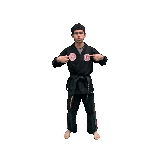 Karate Taekwondo Sticker by Team GMA