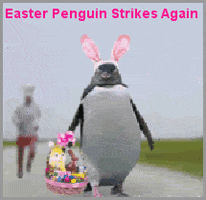 Easter Bunny GIF