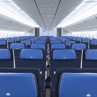 Flying Royal Dutch Airlines GIF by KLM
