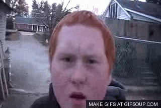 Ginger GIFs - Find & Share on GIPHY