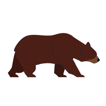 Grizzly Bear Sticker by Tourism Vancouver Island