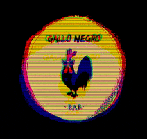 GalloNegrooOK bar negro gallo GIF