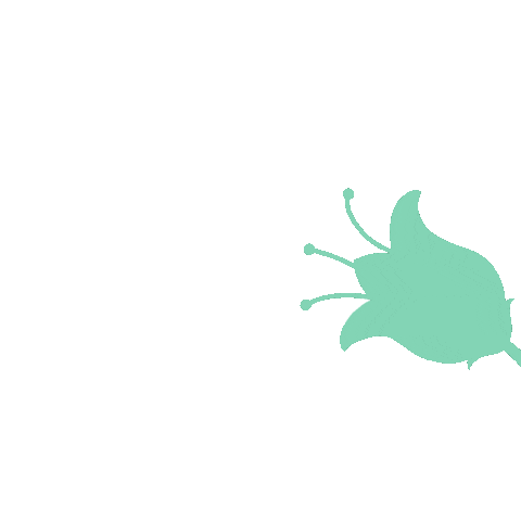 Travel Vacation Sticker by Flightnook