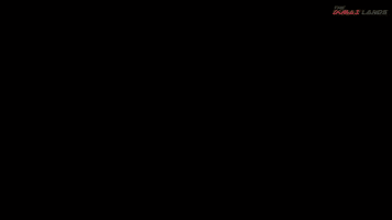 Dubai GIF