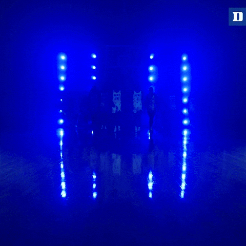 Duke Blue Devils Sisterhood GIF by Duke Women's Basketball
