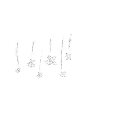Star Sticker