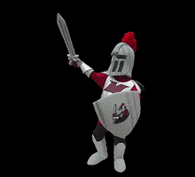 GoValiants GIF