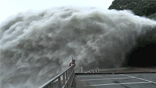 giphy.webp?cid=6c09b952a6ixlj360r5ygu11j